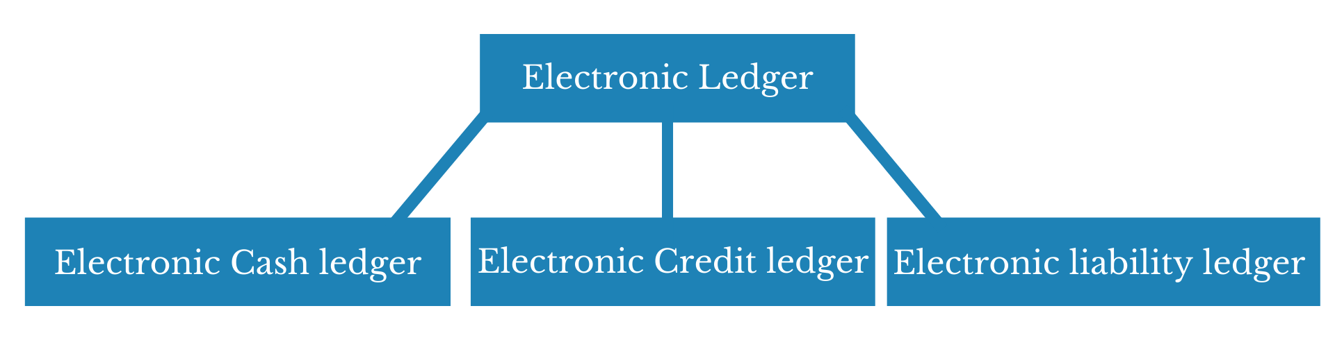 Types of Electronic ledgers