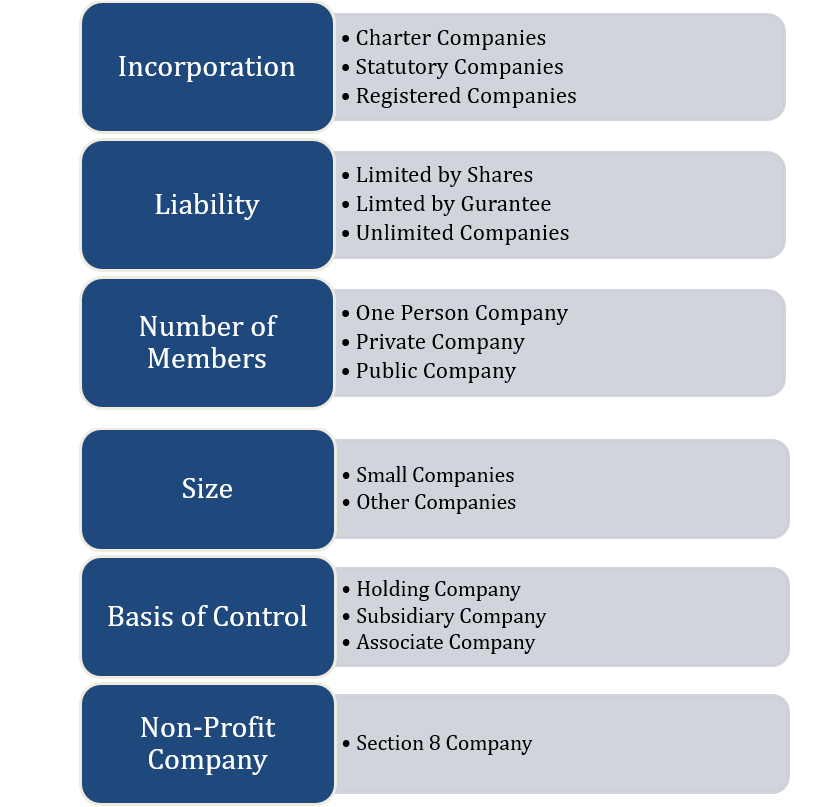What are the various types of Company