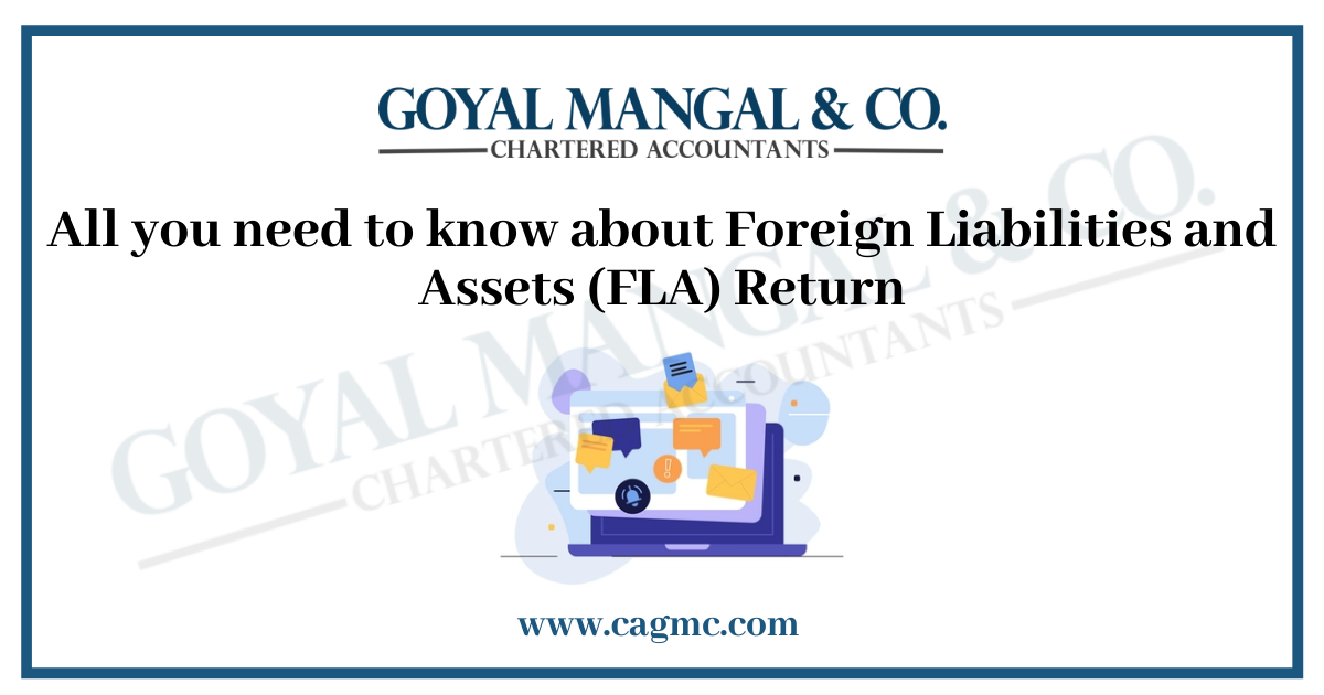 Foreign Liabilities and Assets (FLA) Return