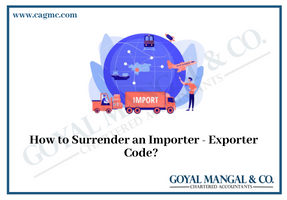 Surrender an Importer - Exporter Code