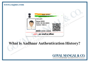 What is Aadhaar Authentication History?