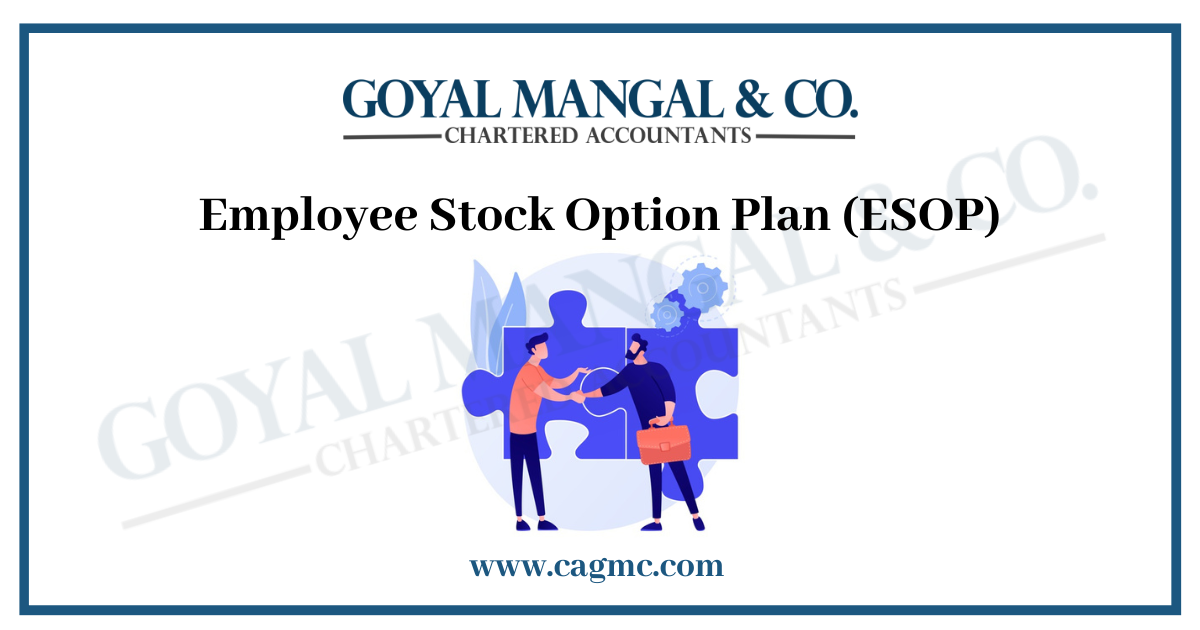 Employee Stock Option Plan
