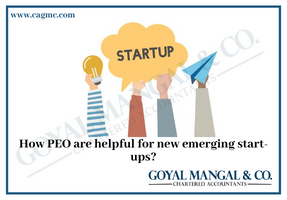 Why Startups Should Use a PEO