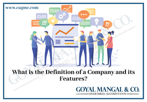 What is a Company & its Features