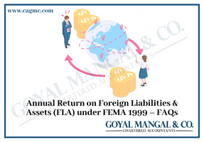 Annual Return on Foreign Liabilities & Assets (FLA)