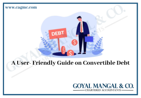 A User- Friendly Guide on Convertible Debt