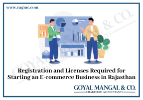 E-commerce Business in Rajasthan