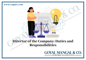 Director of the Company Duties and Responsibilities
