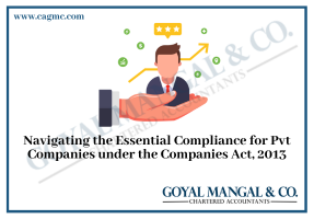 private companies act 2013
