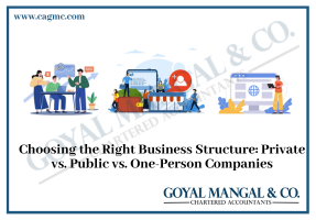 Private vs. Public vs. One-Person Companies