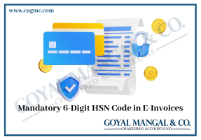HSN Code in e-invoices