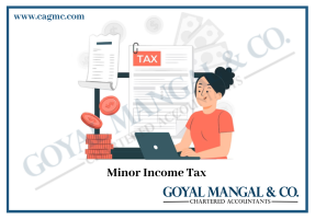 Minor Income Tax